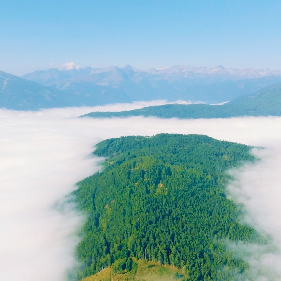 Der Mitterberg-die grüne Lunge des Lungaus. Foto: Franz Pritz
